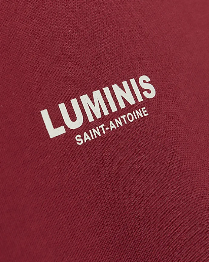 Red regular fit graphic sweatshirt