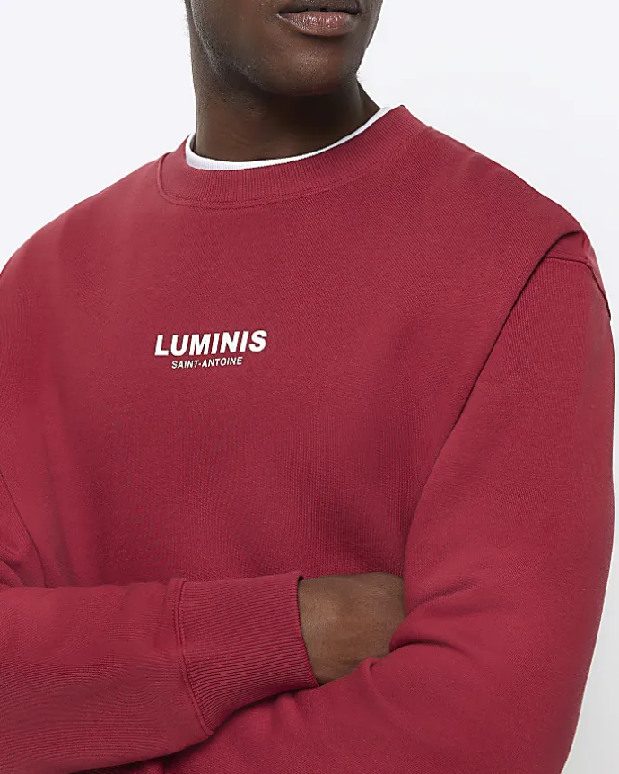 Red regular fit graphic sweatshirt