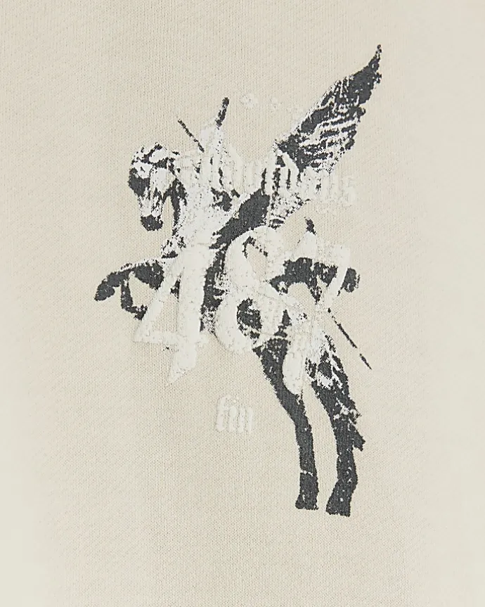 Stone Regular Fit Pegasus Graphic Hoodie
